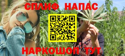 гидра Кандалакша