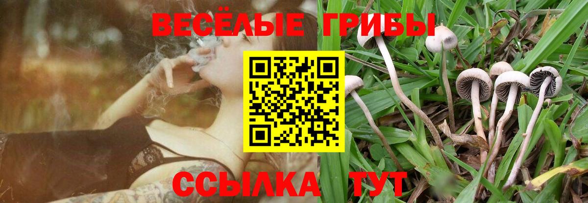 Галлюциногенные грибы мухоморы Лесной