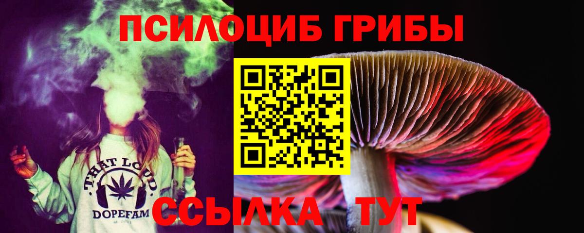 Псилоцибиновые грибы MAGIC MUSHROOMS  Вход с VPN  Галлюциногенные грибы Psilocybine cubensis  Лесной 